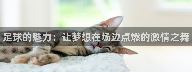 谈球吧体育官网