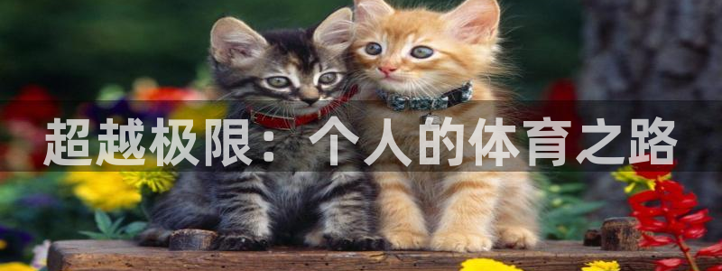 谈球吧体育：超越极限：个人的体育之路