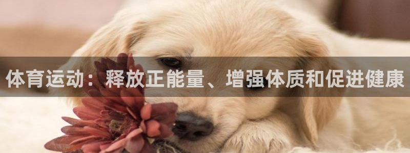 谈球吧