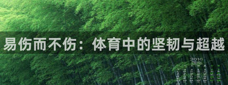 谈球吧：易伤而不伤：体育中的坚韧与超越