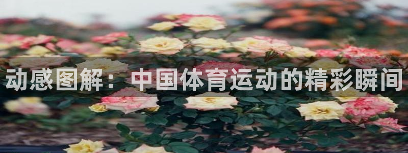 谈球吧