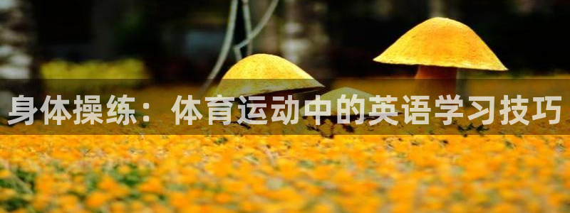 谈球吧体育官网