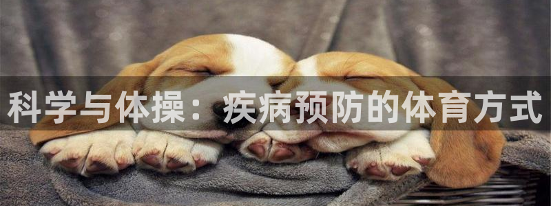 谈球吧
