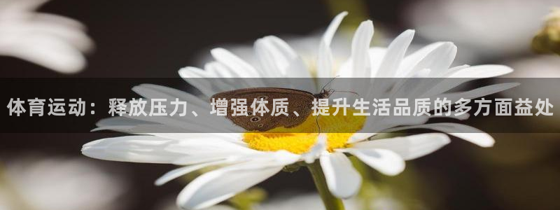 谈球吧体育官网