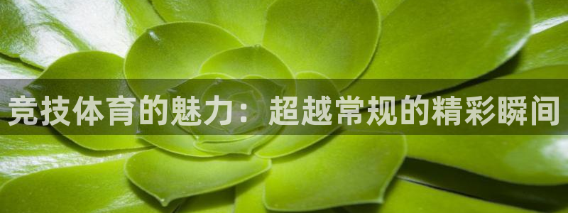 谈球吧：竞技体育的魅力：超越常规的精彩瞬间