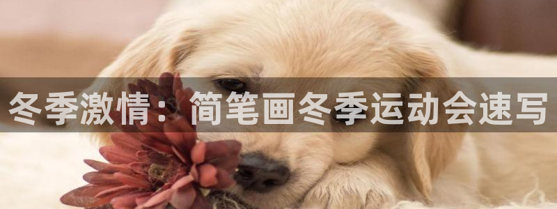 谈球吧体育：冬季激情：简笔画冬季运动会速写