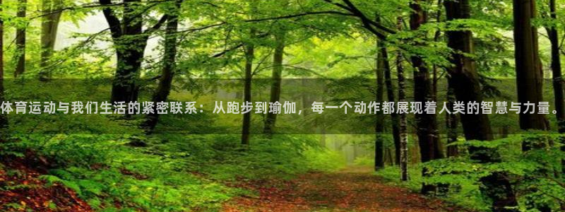 谈球吧：体育运动与我们生活的紧密联系：从跑步到瑜伽，每一个动作都展现着人类的智慧与力量。