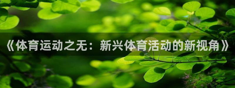 谈球吧体育：《体育运动之无：新兴体育活动的新视角》